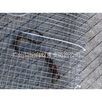 石碁鎮(zhèn)上門抓蛇、捕蛇